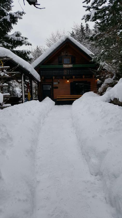 Holiday Home Prdelanca Luče 外观 照片